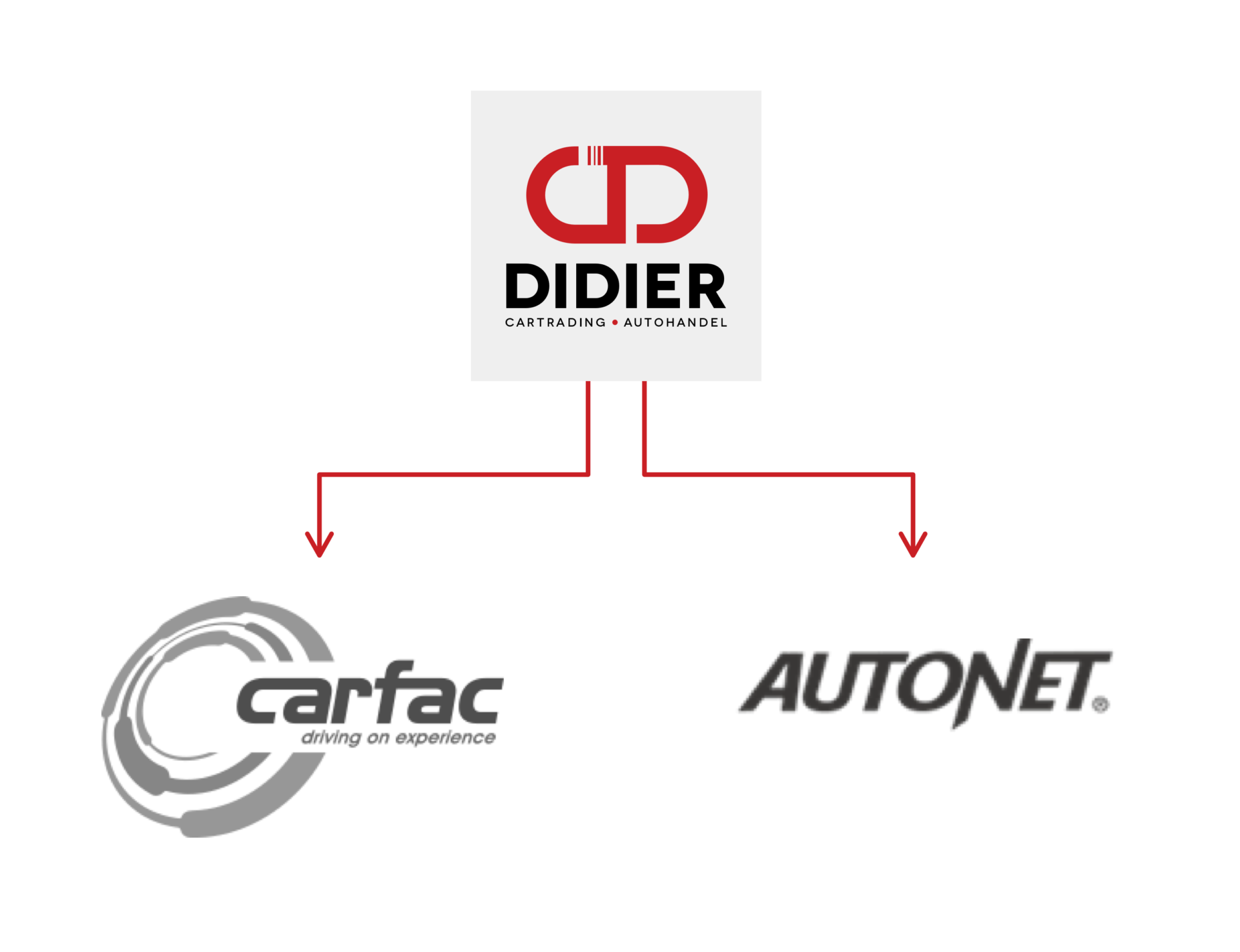 Dasmedia webshop ontwikkelen Didier ER Psystemen 2023