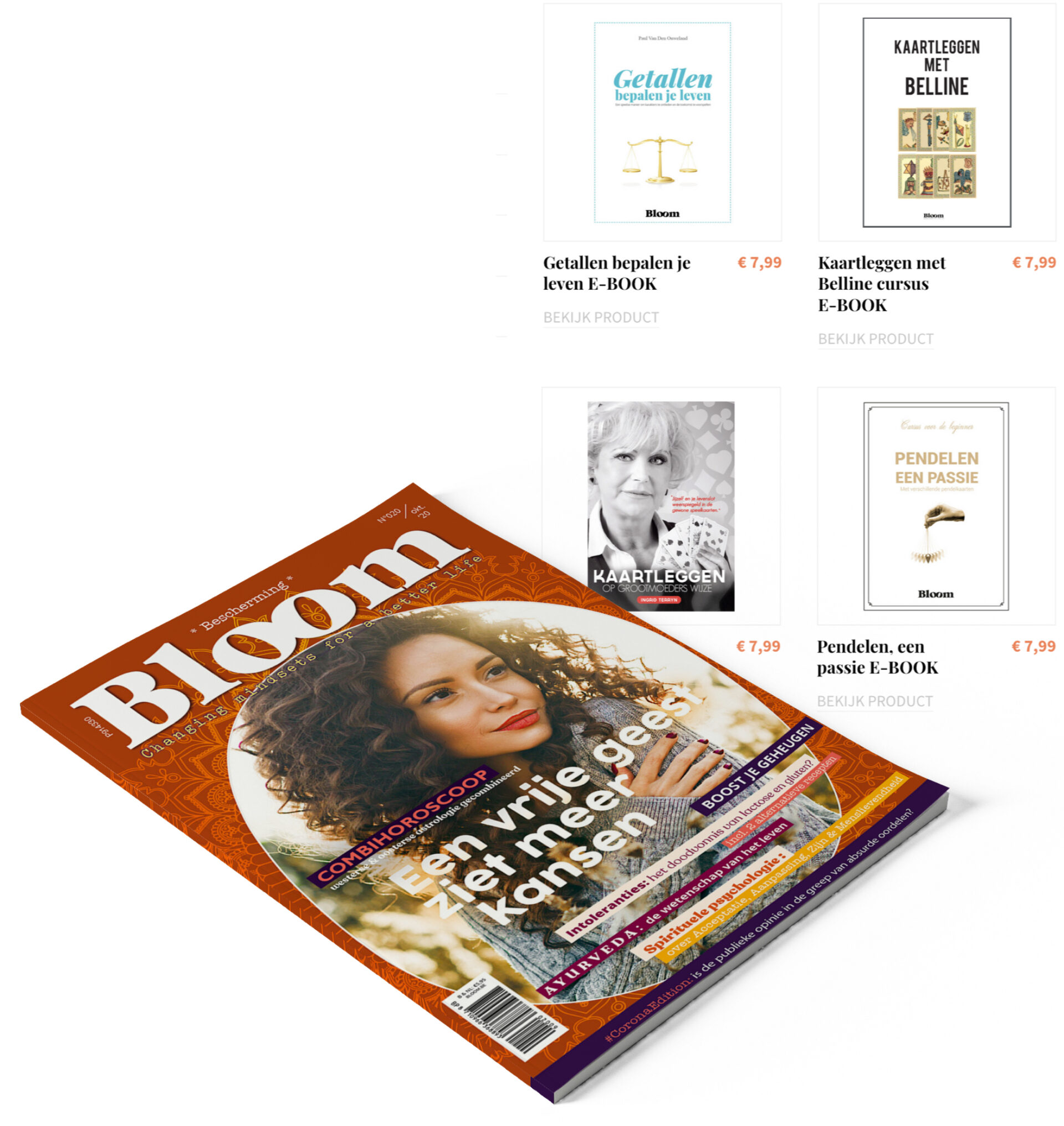 Dasmedia website ontwikkelen bloom ebooks