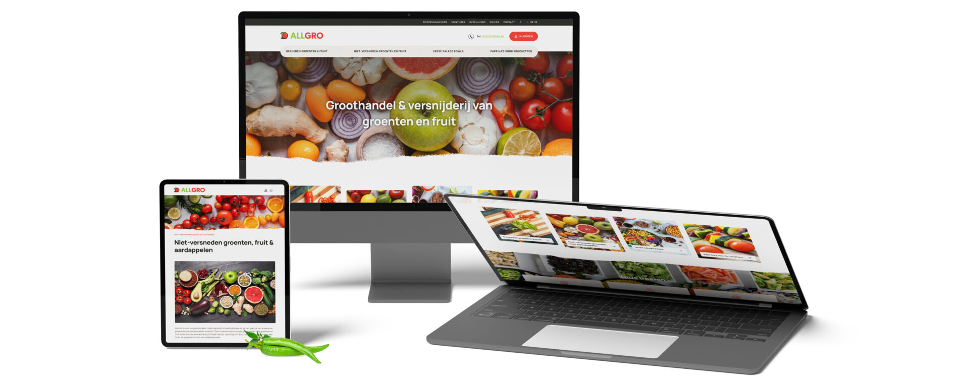 Allgro mockup devices