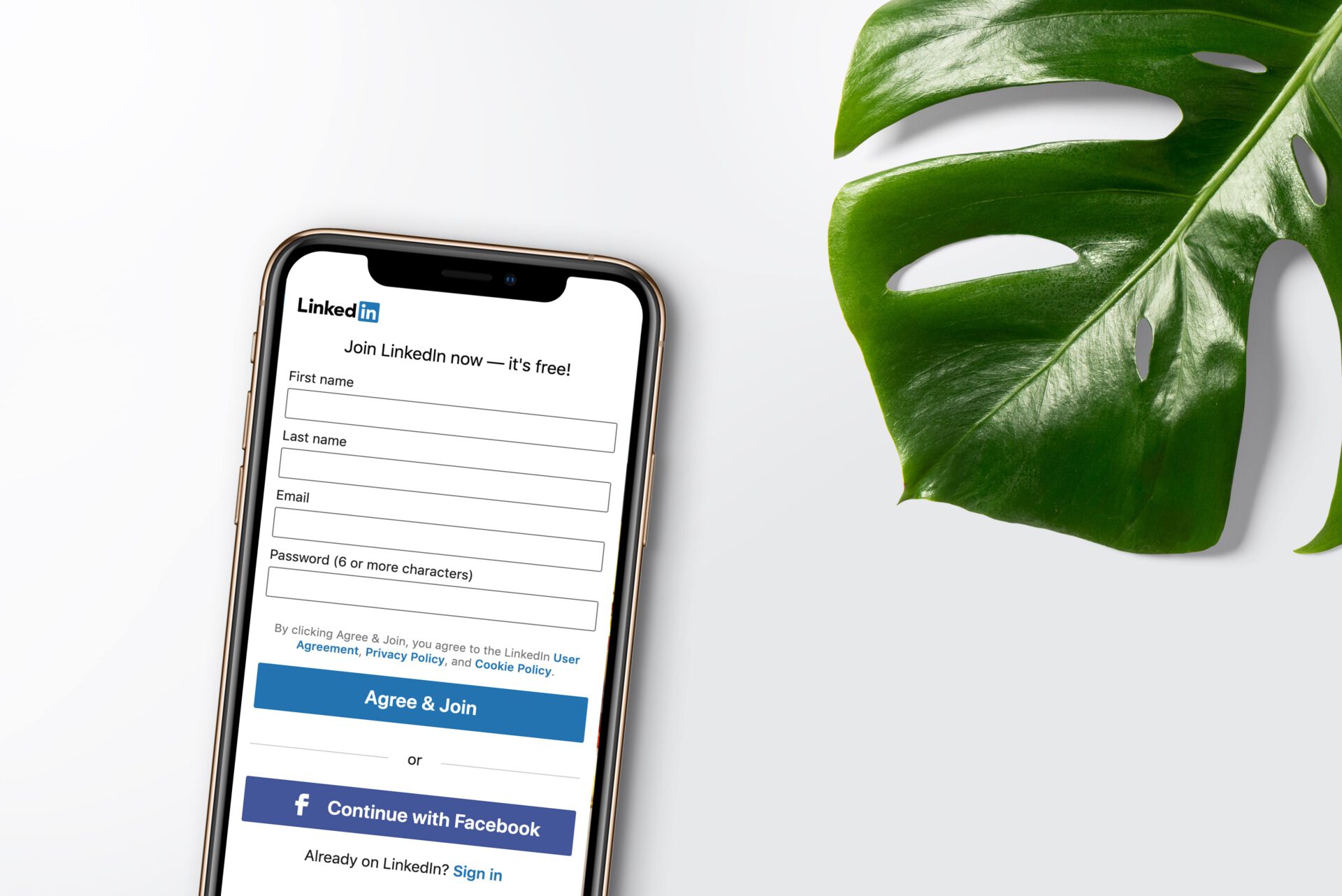 Inlytics linkedin analytics tool 2 SE1zwze L Os unsplash